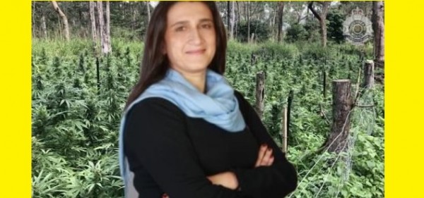 Cannabis, D&#039;Amato (M5S): &quot;Canapa volano di sviluppo per la Puglia e il Sud, Salvini pensi ai veri criminali&quot;
