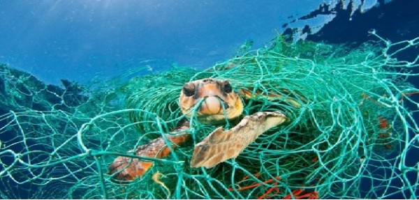 Living Planet Report 2018 «Un global deal per la natura e le persone»