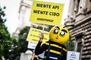 Moria di api, lo sciopero di Greenpeace: «Basta pesticidi killer»