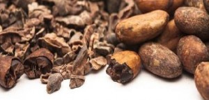 Sfatato un falso mito: in effetti il cacao riduce la diarrea e fa diventare più intelligenti