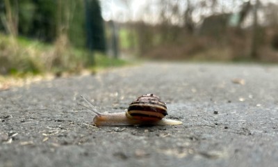 Oggi è Primavera: Una perturbazione è in transito ma l&#039;alta pressione sta tornando