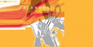 “Calandra”, il nuovo disco firmato Amanita - Ascolta il brano qui