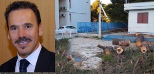 Taranto – Albero cade su recinzione asilo nido, De Marinis “Più risorse per la tutela del patrimonio arboreo urbano!”