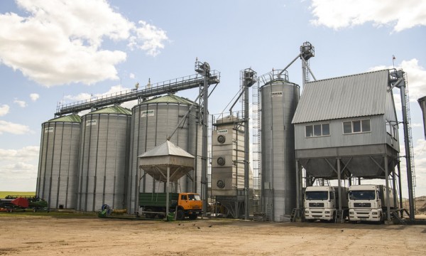 Il piano di Londra per impedire che i russi rubino il grano dall&#039;Ucraina