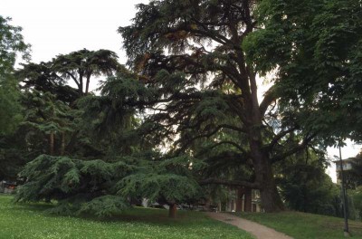 Piacenza “Musica ai giardini”, stasera in concerto il quartetto jazz del clarinettista Paolo Tomelleri