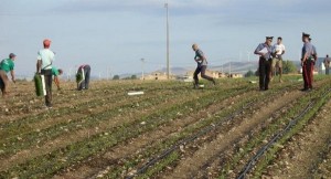 Attività di contrasto a &quot;caporalato e lavoro nero&quot; per la vendemia 2016