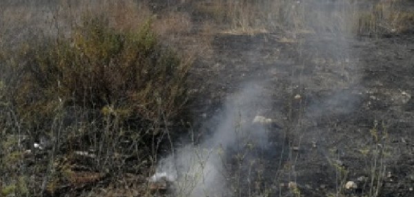 Taranto - Zona Pezzavilla ancora nel degrado e col rischio incendi