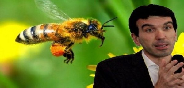 ISDE Italia: Pesticidi dannosi per l’ambiente e per la salute umana non possono essere imposti per legge