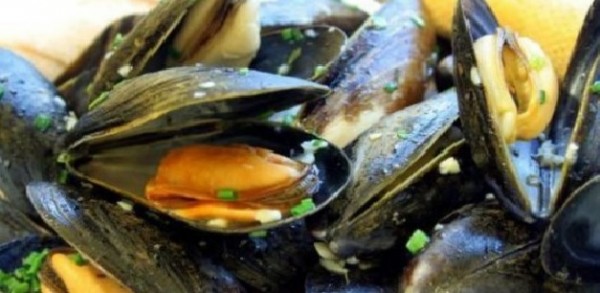 Allarme nazionale: cozze mediterranee dalla Spagna, confezionate in Italia, contaminate con Salmonella
