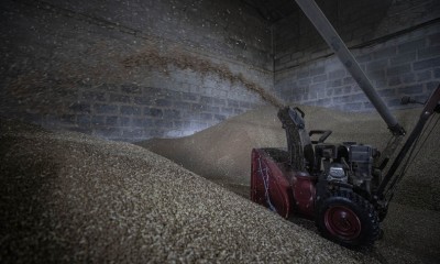 Mosca: &quot;La crisi del grano è il risultato di azioni distruttive dell&#039;Occidente&quot;
