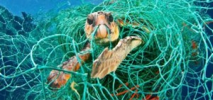 Per il WWF basterebbe il bando monouso per eliminare il 40% di plastica dai rifiuti