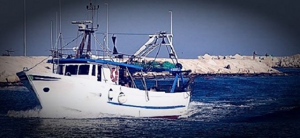 Pesca: Stefàno (Pd), «Forti preoccupazioni del fermo pesca per il basso adriatico… Rivedere termini »