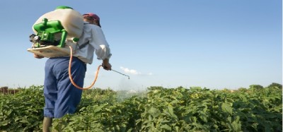 Pesticidi oltre i limiti: richiamate bacche di goji tibetano a marchio Agricola Lusia