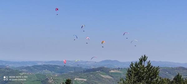 foto di Barbara Valla: parapendio durante una gara in Val Parma