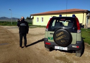 Nascono i Carabinieri agro-forestali primo passo per l’assorbimento del CFS