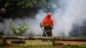 La lotta silenziosa del Sud America contro la dengue: impennata di casi nel 2019