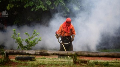 La lotta silenziosa del Sud America contro la dengue: impennata di casi nel 2019