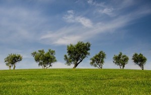 Settimana europea per lo Sviluppo Sostenibile