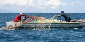 Pesca, D&#039;Amato (M5s): fondi Ue per piccoli pescherecci una battaglia giusta per ambiente e sicurezza