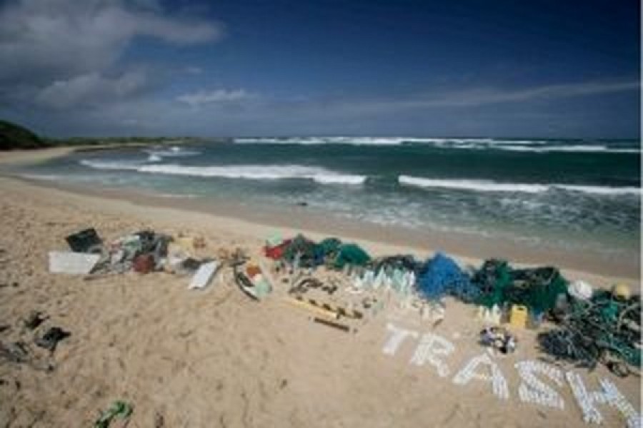 Mare, al via ‘Spiagge e fondali puliti’. A Capocotta in azione volontari e studenti