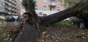 Un vento gelido flagella l&#039;Italia. Tre morti nel Lazio Nel frusinate il crollo di un muro uccide due