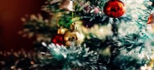 Natale, per l’Immacolata in 9 case su 10 scatta l’operazione ‘albero’