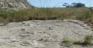 Regione Lazio - Ambiente: al lavoro per valorizzare le aree naturali