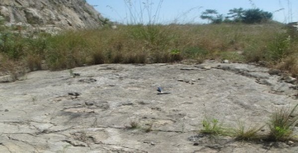 Regione Lazio - Ambiente: al lavoro per valorizzare le aree naturali