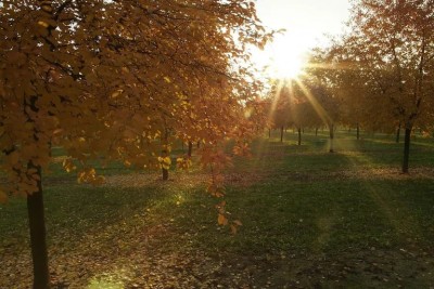 Domenica primaverile sull&#039;Italia, temperature fino a 22 gradi