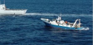 Pesca, D’Amato (M5S): «Tutela risorse ittiche necessaria per rilanciare settore in Italia»