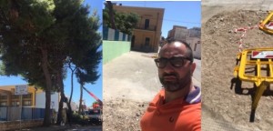 Pulsano (Taranto) – Nuove piantumazioni a risarcimento tagli alberi, la proposta di Di Lena