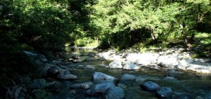 Torrente Peschiera-Bosco Magnano-Pollino-Foto Nunzia Ranaldo