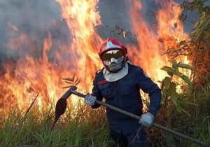 Incendios en Amazonia prioridad para el G7, Merkel