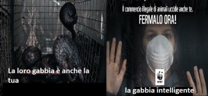 Coronavirus: WWF chiede stop definitivo a mercati di animali selvatici vivi o morti