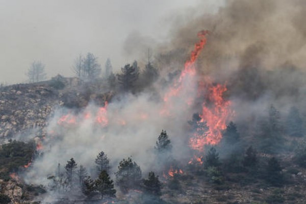 L&#039;Aquila: fuoco a 200 metri da Pettino. Arta, in aumento valori benzene e Pm10