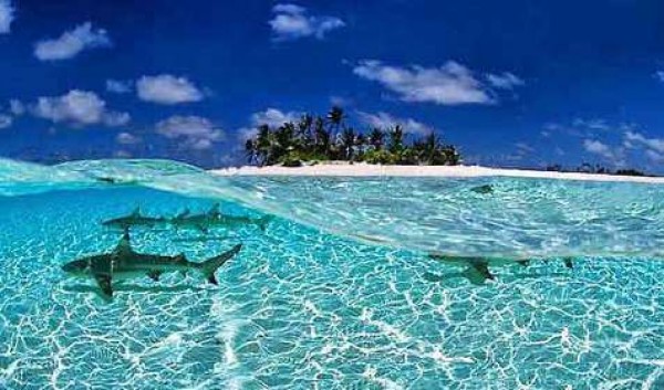 Islas Maldivas, un paraíso 