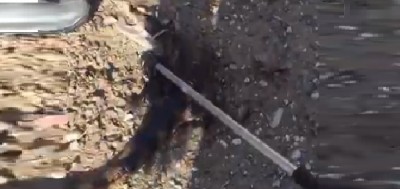 Un caimano lungo un metro catturato in un fiume a nord di Tolosa in Francia: e non è una fake news. Il video della cattura