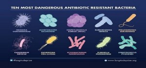 Antibiotici e resistenze batteriche: un convegno in Statale