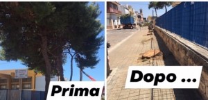 Pulsano (Taranto) – Sul taglio alberi nei pressi delle scuole