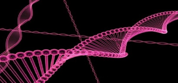 La doppia elica di DNA - Foto tratta dal sito Pixabay