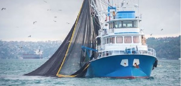 Mediterraneo, D&#039;Amato: &quot;Grazie a M5s prima vittoria per i pescatori italiani&quot;