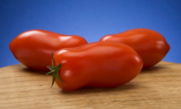 Il pomodoro San Marzano non sarà più solo rosso