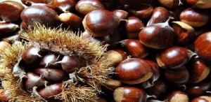 Dopo la strage tornano le castagne: la produzione aumenta del 25%