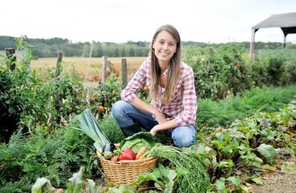 Regione Emilia-Romagna - Agricoltura,  secondo pacchetto di bandi per l’innovazione: oltre 5,4 milioni per le Emilia-Romagna