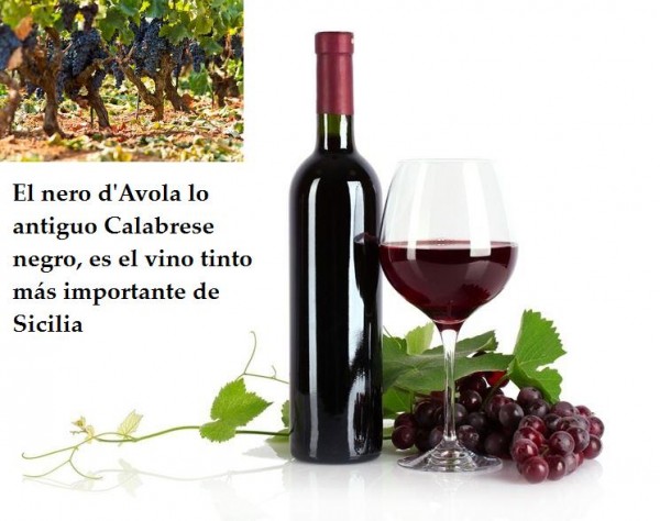 El nero d&#039;Avola lo antiguo Calabrese negro, es el vino tinto más importante de Sicilia