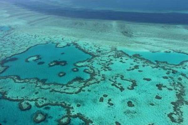 Studio choc: la Grande Barriera Corallina è morta