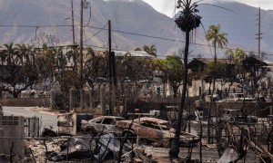 Le Hawaii dopo l&#039;incendio