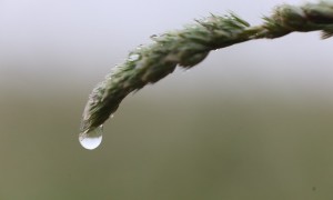 In arrivo una perturbazione dai Balcani. Tornerà la neve sulle Alpi