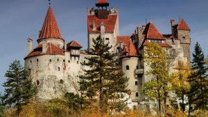 Una osa espanta a los turistas en la fortaleza de Drácula en Rumanía