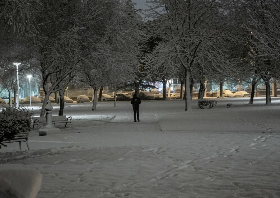 Neve Freddo